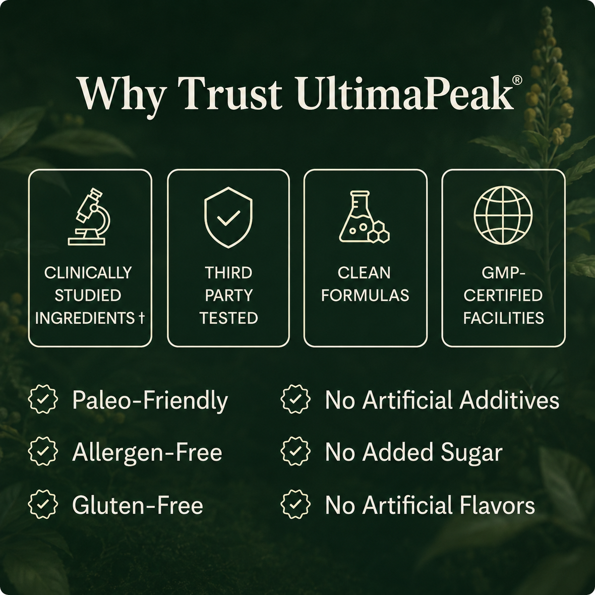 New Maximum Potency Mullein Gummies For Smokers | UltimaPeak®