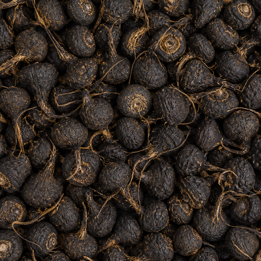 BLACK MACA