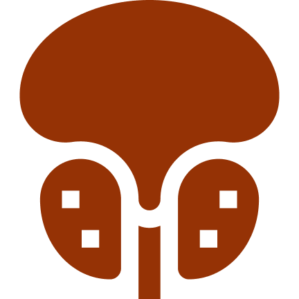 Prostate Health
