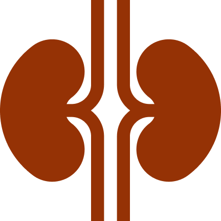Kidney Support