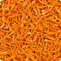 Organic Cordyceps Militaris Extract