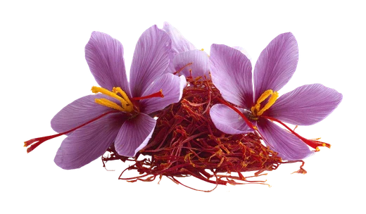 Saffron / Azafrán estandarizado