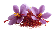 Saffron Extract